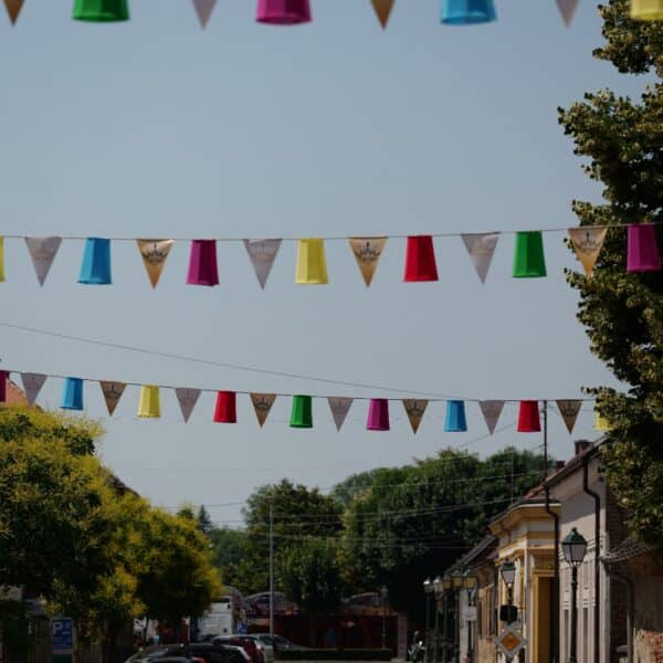 29. Terezijana - Bjelovar je spreman(13)