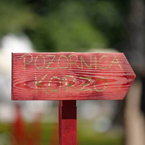 29. Terezijana - Bjelovar je spreman(20)