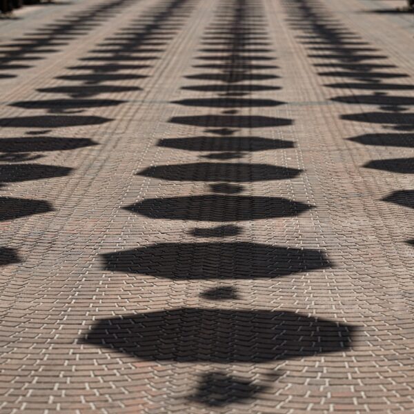 29. Terezijana - Bjelovar je spreman(21)