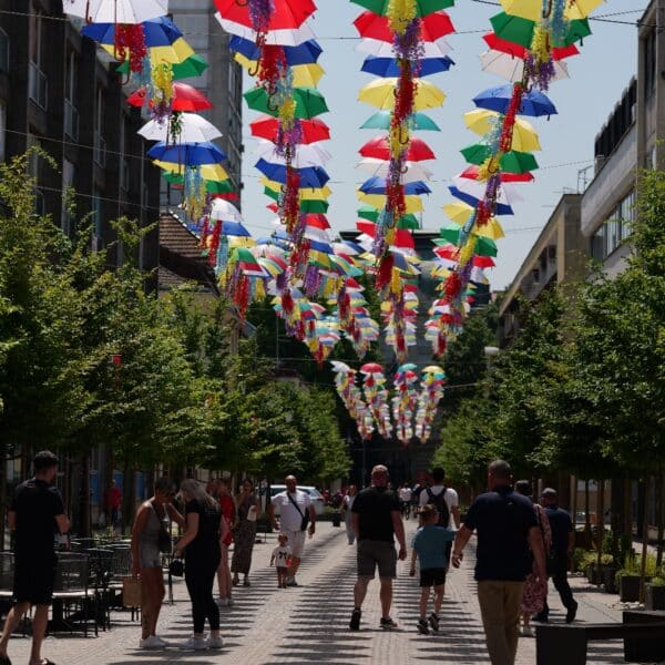 29. Terezijana - Bjelovar je spreman(24)