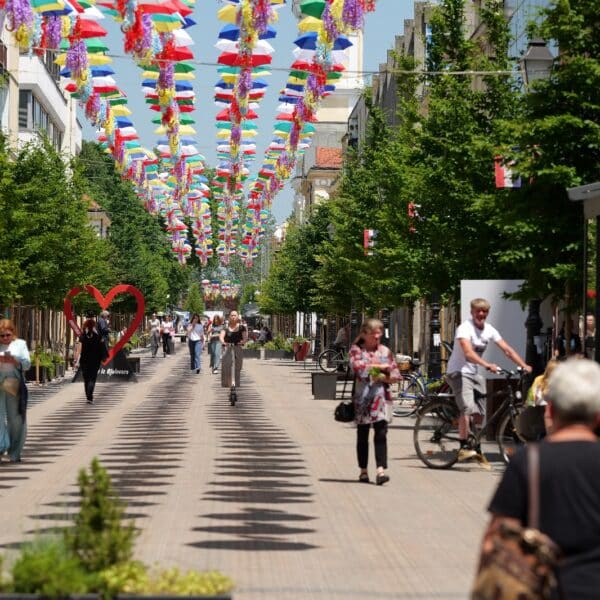 29. Terezijana - Bjelovar je spreman(26)