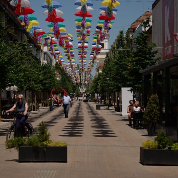 29. Terezijana - Bjelovar je spreman(32)