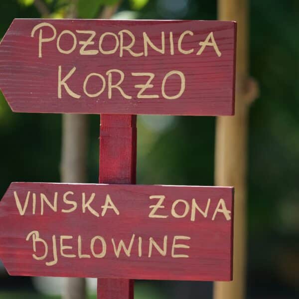 29. Terezijana - Bjelovar je spreman(6)