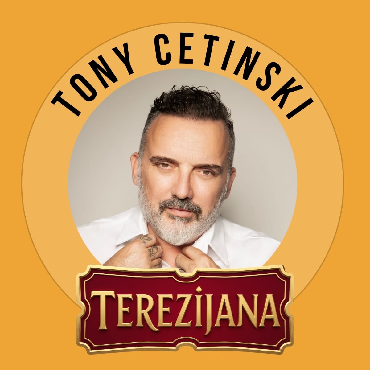 30 Terezijana koncert Tony Cetinski WEB